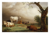 Cattle in a Field, with Travellers in a Wagon on a Track Beyond and a Church Tower in the… Giclee Print by Paulus Potter