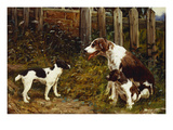 Proud of Her Litter Giclee Print by John Sargent Noble