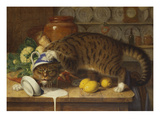 The Collared Thief Giclee Print by William J. Webbe Or Webb