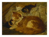 Contemplation Time Giclée-Druck von Henriette Ronner-Knip