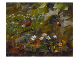 A Robin at the Foot of a Tree Giclee Print by Olaf August Hermansen