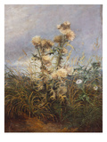 Thistles Giclee Print by William Thomas Martin Hawksworth