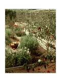 House & Garden - January 1956 Photographic Print by André Kertész