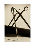 Vanity Fair Fotografisk trykk av Irving Browning