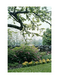House & Garden - May 1954 Photographie par Samuel H. Gottscho