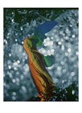 Vogue - December 1945 Fotografisk trykk av Erwin Blumenfeld