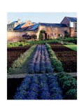 House & Garden - April 2004 Fotografisk trykk av Alexandre Bailhache House & Garden - April 2004 Fotografisk trykk av Alexandre Bailhache