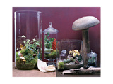 House & Garden - September 2006 Photographic Print by Dana Gallagher