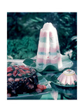 House & Garden - July 1957 Photographic Print by Otto Maya