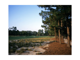 Pinehurst Golf Course No. 2, Hole 12 Photographic Print by Stephen Szurlej