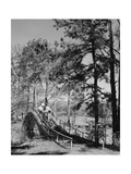 Callaway Gardens, Hole 6 Photographic Print