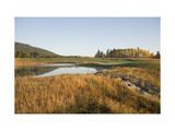 Osprey Meadows Golf Course, Hole 4 Photographic Print by Stephen Szurlej