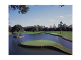 TPC Sawgrass the Stadium Course, Hole 17 Photographic Print by Stephen Szurlej