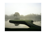 TPC Sawgrass the Stadium Course, Hole 17, sunset Photographic Print by Stephen Szurlej
