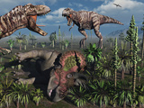 Two T. Rex Dinosaurs Confront Each Other over a Dead Triceratops Photographic Print by  Stocktrek Images