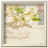 Vintage Letter and Apple Blossoms Prints by Deborah Schenck