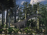 A Young Diplodocus Dinosaur Feeding in a Prehistoric Forest Photographic Print by  Stocktrek Images