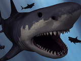 A Megalodon Shark from the Cenozoic Era Fotografie-Druck von  Stocktrek Images