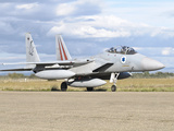 An F-15D BAZ of the Israeli Air Force Photographie par  Stocktrek Images