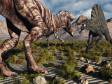 A Confrontation Between a T. Rex and a Spinosaurus Dinosaur Photographic Print by  Stocktrek Images