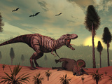 A Triceratops Falls Victim to Tyrannosaurus Rex Photographic Print by  Stocktrek Images