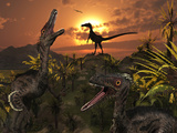 A Group of Feathered Carnivorous Velociraptors from the Cretaceous Period on Earth Photographic Print by  Stocktrek Images