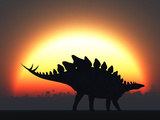 A Stegosaurus Silhouetted Against the Setting Sun at the End of a Prehistoric Day Photographic Print by  Stocktrek Images