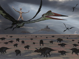 Reptoids Ride on the Backs of Quetzalcoatlus Using Telepathy Photographic Print by  Stocktrek Images