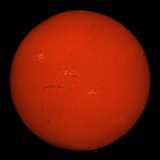 H-Alpha Full Sun in Red Color with Active Areas and Filaments Photographic Print by  Stocktrek Images