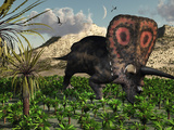 A Lone Torosaurus Dinosaur Feeding on Plants Photographic Print by  Stocktrek Images