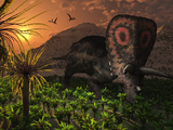 A Lone Torosaurus Dinosaur Feeding on Plants Photographic Print by  Stocktrek Images