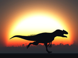 A Silhouetted Allosaurus Sprinting Against a Setting Set at the End of a Jurassic Day Photographie par  Stocktrek Images