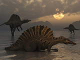 A Group of Spinosaurus Photographic Print by  Stocktrek Images