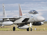 An F-15D BAZ of the Israeli Air Force Photographie par  Stocktrek Images