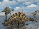 A Group of Spinosaurus Photographic Print by  Stocktrek Images