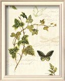 Ivies and Ferns IV Poster by Lisa Audit