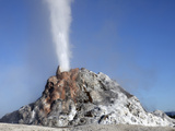 White Dome Geyser Erupting, Upper Geyser Basin Geothermal Area, Yellowstone National Park Photographic Print by  Stocktrek Images