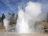 Grand Geyser Erupting, Upper Geyser Basin Geothermal Area, Yellowstone National Park Photographic Print by  Stocktrek Images