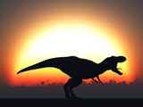 A T. Rex Silhouetted Against the Setting Sun at the End of a Prehistoric Day Fotografisk tryk af Stocktrek Images A T. Rex Silhouetted Against the Setting Sun at the End of a Prehistoric Day Fotografisk tryk af Stocktrek Images