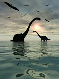 Diplodocus Dinosaurs Bathe in a Large Body of Water Photographic Print by  Stocktrek Images