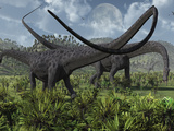 Two Giant Diplodocus Herbivore Dinosaurs Grazing During the Jurassic Period on Earth Photographic Print by  Stocktrek Images