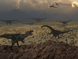 An Allosaurus Dinosaur Spies a Group of Young Diplodocus Herbivores Photographie par  Stocktrek Images
