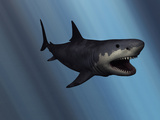 A Megalodon Shark from the Cenozoic Era Photographic Print by  Stocktrek Images