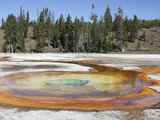 Chromatic Pool Hot Spring, Upper Geyser Basin Geothermal Area, Yellowstone National Park, Wyoming Photographic Print by  Stocktrek Images