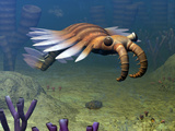 An Anomalocaris Explores a Middle Cambrian Age Ocean Floor Photographic Print by  Stocktrek Images