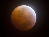 Mondfinsternis Fotografie-Druck von  Stocktrek Images