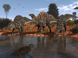 Ouranosaurus Drink at a Watering Hole While a Sarcosuchus Floats Nearby Photographic Print by  Stocktrek Images