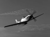 A P-51D Mustang in Flight Fotografie-Druck von  Stocktrek Images