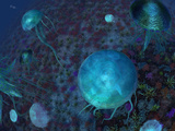 A Swarm of Jellyfish Swim the Panthalassic Ocean Photographic Print by  Stocktrek Images