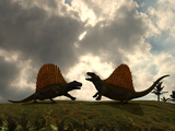 Dimetrodon Fight over Territory Photographic Print by  Stocktrek Images